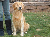 Bella sitting outside